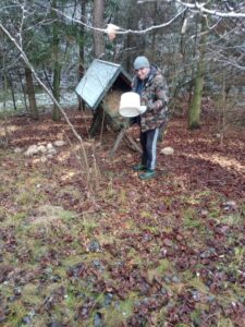 Dokarmianie zwierząt