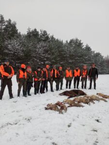Polowanie zbiorowe w dniu 10.12.2023